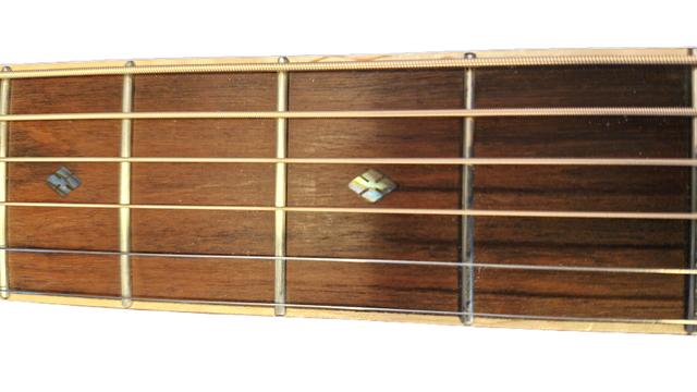 Fretboard